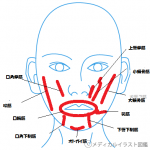 美しい小顔になる為に③　顔の表情筋を動かす。